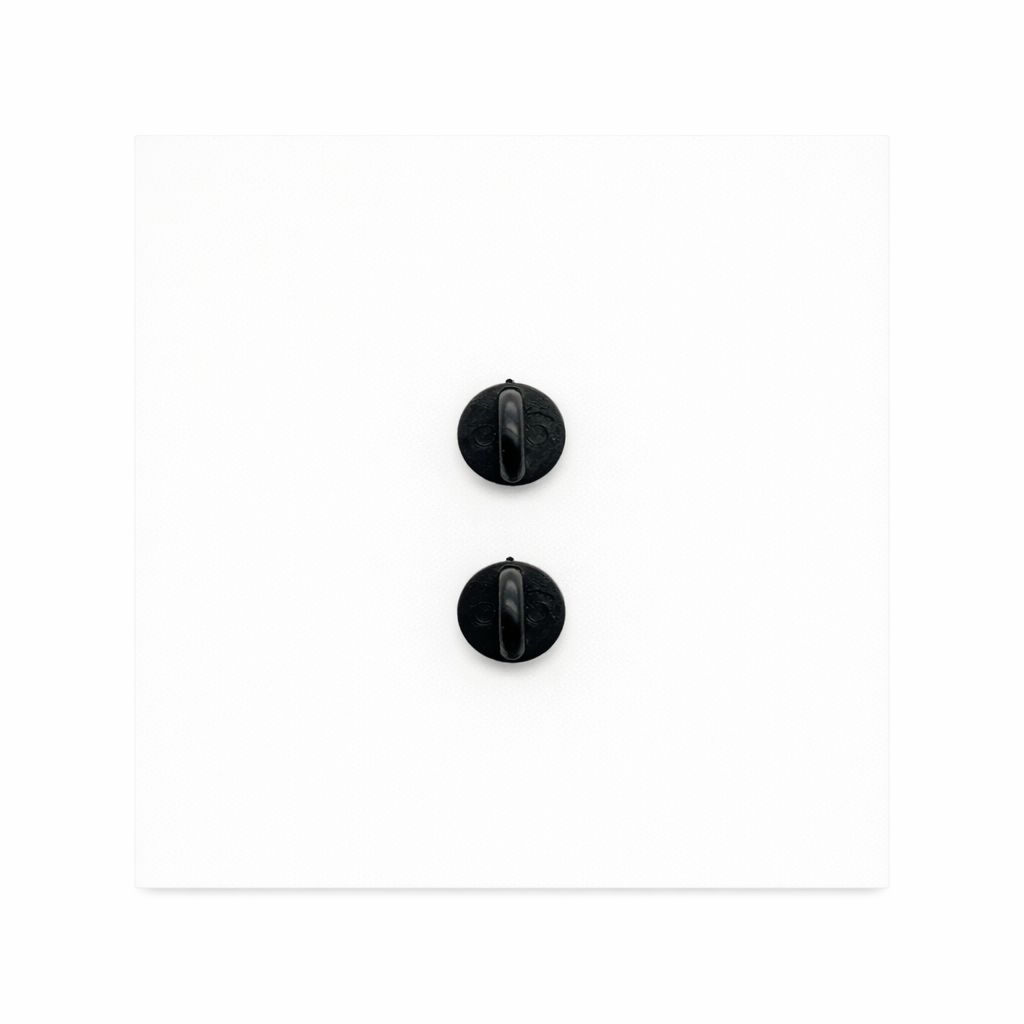 Dallas Rodeo Panda Pin